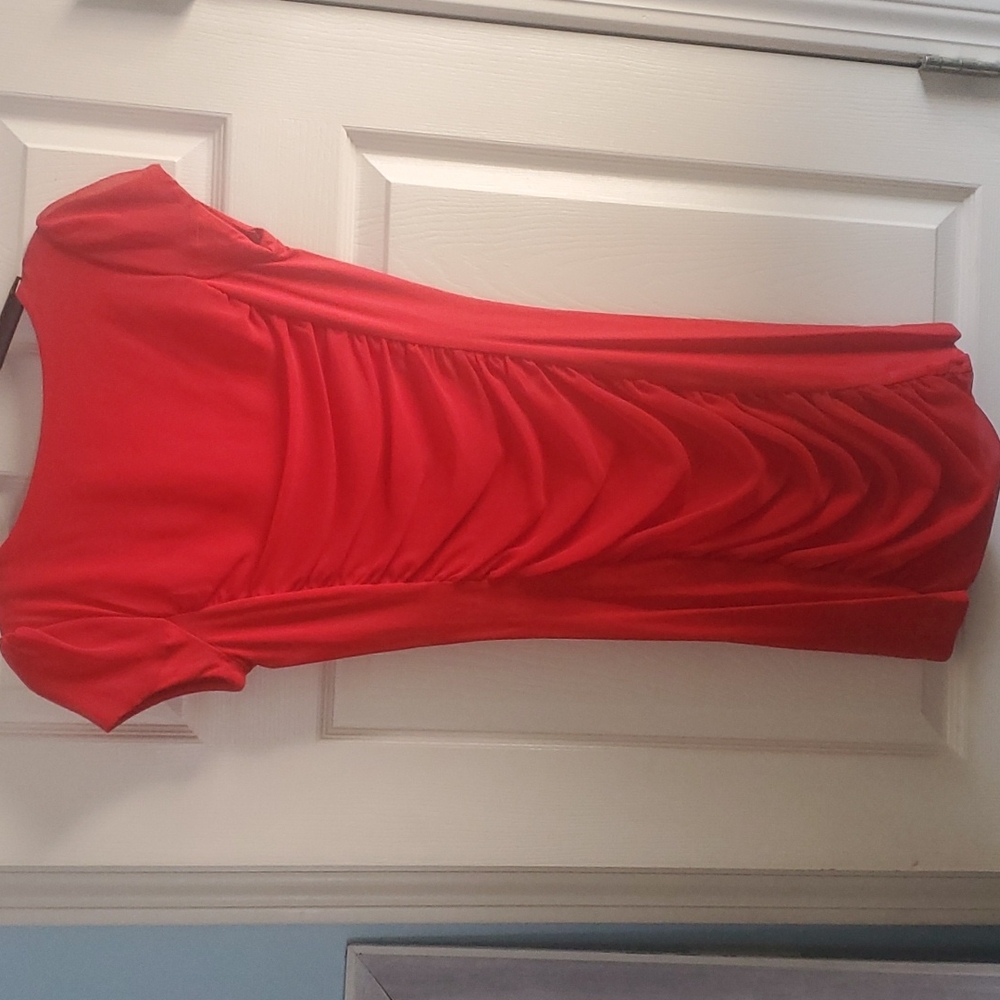 Express Dress - Picture 4 of 7
